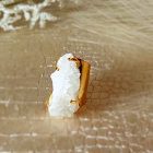 Bague coffre de cristal de quartz clair naturel (brésil) 