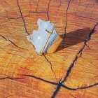 Bague coffre de cristal de quartz clair naturel (brésil) 