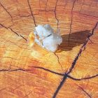 Bague coffre de cristal de quartz clair naturel (brésil) 