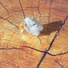 Bague coffre de cristal de quartz clair naturel (brésil)